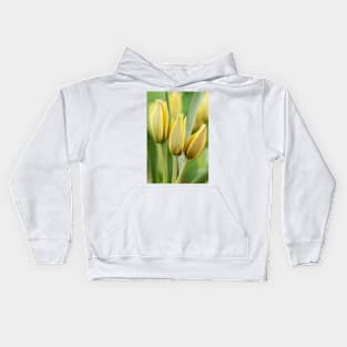 Tulipa urumiensis  Iran tulip  Miscellaneous Group Tulip Kids Hoodie